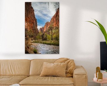 Riverside walk in Zion National Park