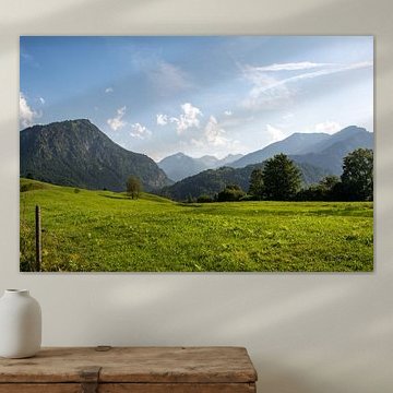 Summer Calm in the Alpine Meadows by Fabian Kleiser