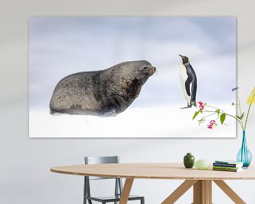 Fur seal and the penguin van Claudia van Zanten
