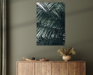 Palm tree Sri Lanka by Kimberley Jekel