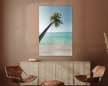 Palmier sur une plage blanche - Maldives | tirage photo d'art