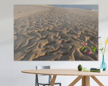 Texte de la plage