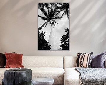 PHARE PALMIERS sur Sita Koning