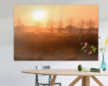 zonsopkomst