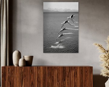 The beauty of diving by Greetje van Son