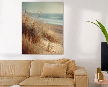 Duinen, helmgras en strand in het avondlicht van Vlindertuin-Art