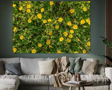 Gele zonnebloem - Groen achtergrondpatroon van Mixed media vector arts