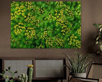 Wolfsmelk Euphorbia - achtergrondpatroon plant van Mixed media vector arts
