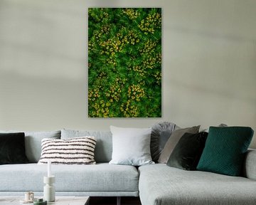 Wolfsmelk Euphorbia - achtergrondpatroon plant van Mixed media vector arts