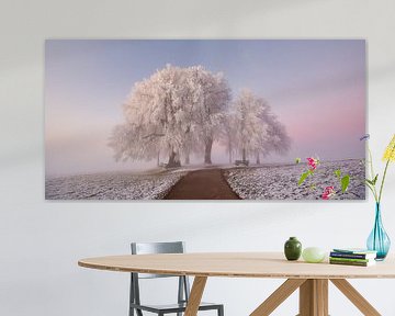 Dooi en mist in het vroege ochtendlicht van Judith Kuhn