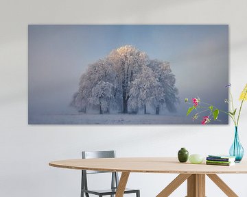Boomsymmetrie in de winterse mist van Judith Kuhn