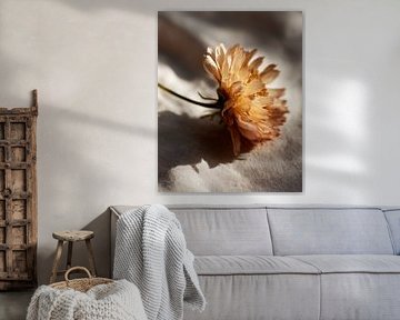 Bloemschaduw op linnen doek
