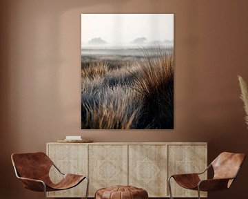Ochtendstilte tussen wuivend gras van Vlindertuin-Art