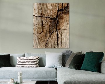 Natuurlijk patroon in bruin hout