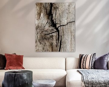 Gebarsten hout vol verhalen