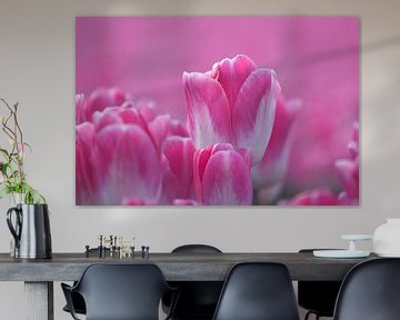 Roze Tulpen in een Hollands Bollenveld van Mireille Breen