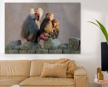 Bavianenfamilie
