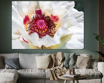 Weißer orientalischer Mohn Royal Wedding von Mixed media vector arts
