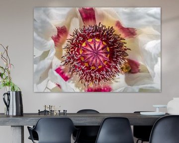 Witte oosterse klaproos Koninklijk huwelijk van Mixed media vector arts