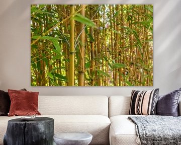 Goldener Peking-Bambus von Mixed media vector arts