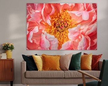 Pioen Coral Charm van Mixed media vector arts