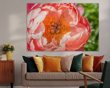 Pfingstrose Coral Charm von Mixed media vector arts