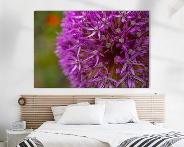 Allium purple sensation von Mixed media vector arts