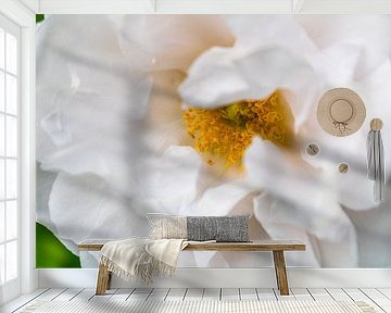 Shrub rose Crystal Mella by Mixed media vector arts