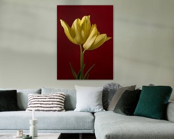 Samen zijn we één: Twee gele tulpen van Marjolijn van den Berg
