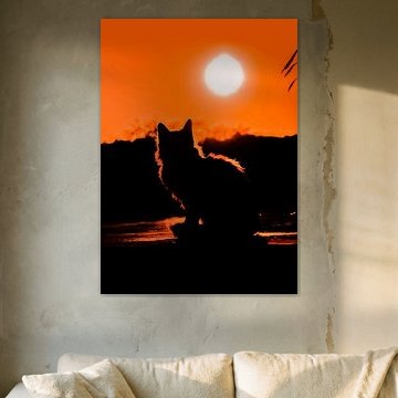 Schnurrhaare und Wunder: Das Porträt einer Katze's