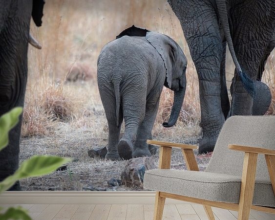 Voorbeeld van het werk in een kamer