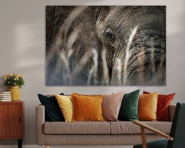 elephant by Ralf Linckens