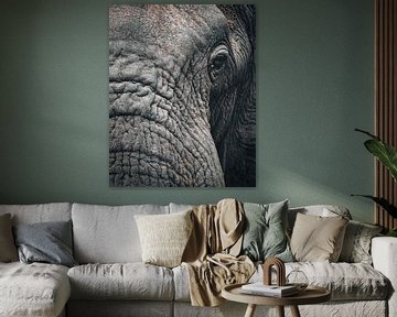 elephant by Ralf Linckens
