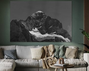 Wetterhorn van Reinier Holster
