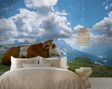 Kuh in den Bergen Südtirols von H&J Fotografie