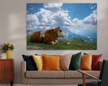 Koe in de bergen van  Zuid-Tirol van H&J Fotografie