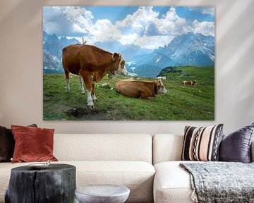 Koeien in Zuid-Tirol van H&J Fotografie