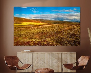 Mooie kleuren in het ongerepte landschap, IJsland