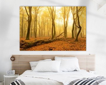 Nebliger Herbstmorgen in einem Wald von Sjoerd van der Wal Fotografie