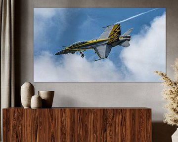 Royal Malaysian Air Force F/A-18D Hornet.