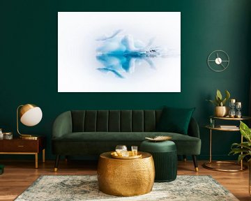 Icebergs en highkey sur Chris Stenger