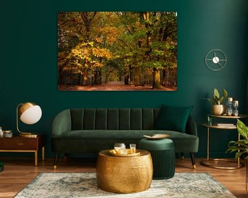 Autumn in the forest, the trees turn a beautiful orange-yellow by Margreet Riedstra