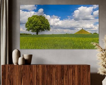 De Leeuw van Waterloo, Eigenbrakel, Waals-Brabant, België