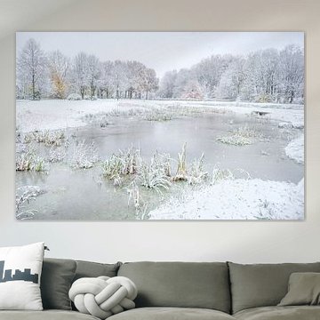 Winter mit Herbstfarben