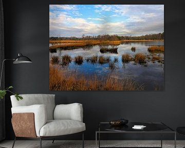 Kampina Heath Boxtel by Anja Oosterwaal Fine Art Fotografie
