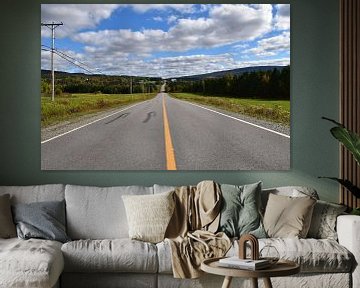 A summer country road by Claude Laprise