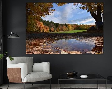 A maple plantation in autumn by Claude Laprise
