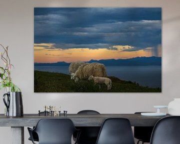 Grazing sheep under a threatening cloudy sky by Anouschka Hendriks