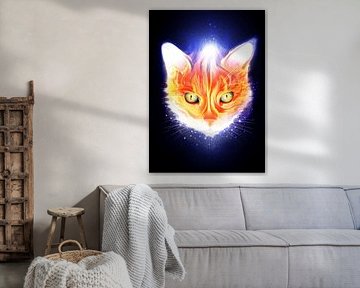Schnurrhaare und Wunder Niedliche lustige Katze
