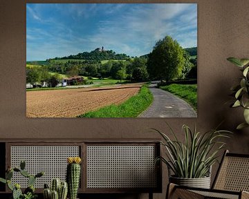 Die Ronneburg in der Wetterau